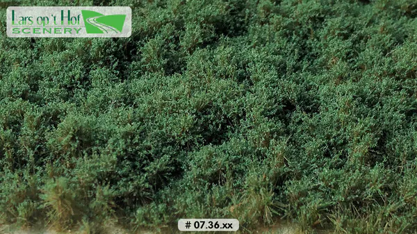 Hovedbilde Lars op 't Hof - Bushes dark green - low