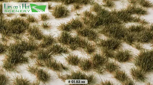 Hovedbilde Lars op 't Hof - Grass tufts early winter - short