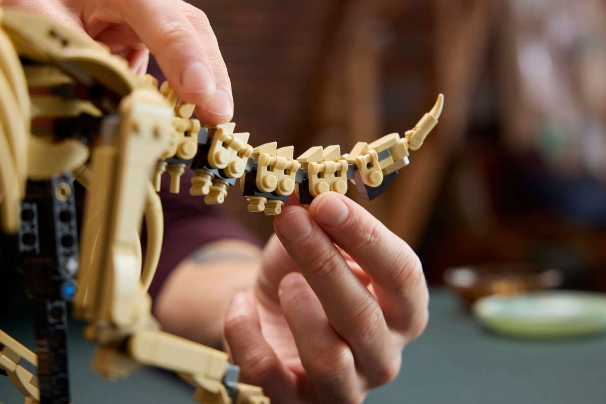 LEGO 77985 - Jurassic World™, Dinosaurfossiler: Triceratops
