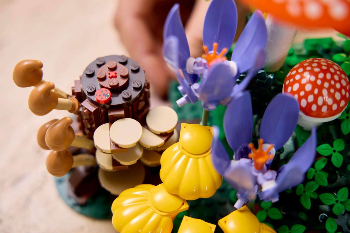 LEGO 11505 - Botanicals, Skogsopp
